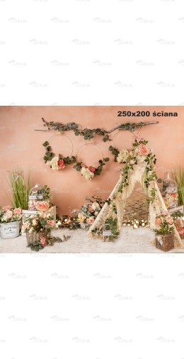 Tło fotograficzne 2238